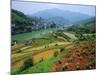 Rice Paddies and Brick-Maker at Longsheng in Northeast Guangxi Province, China-Robert Francis-Mounted Photographic Print