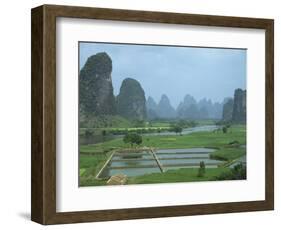 Rice Paddies, Fish Farms and Limestone Pinnacles, Fenglin Karst, Guilin, Yangshuo, Guangxi, China-Waltham Tony-Framed Photographic Print