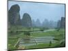 Rice Paddies, Fish Farms and Limestone Pinnacles, Fenglin Karst, Guilin, Yangshuo, Guangxi, China-Waltham Tony-Mounted Photographic Print