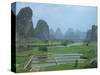 Rice Paddies, Fish Farms and Limestone Pinnacles, Fenglin Karst, Guilin, Yangshuo, Guangxi, China-Waltham Tony-Stretched Canvas