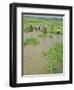 Rice Paddies, Vientiane, Laos, Asia-Bruno Morandi-Framed Photographic Print