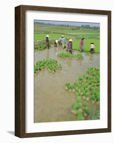 Rice Paddies, Vientiane, Laos, Asia-Bruno Morandi-Framed Photographic Print