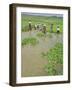 Rice Paddies, Vientiane, Laos, Asia-Bruno Morandi-Framed Photographic Print