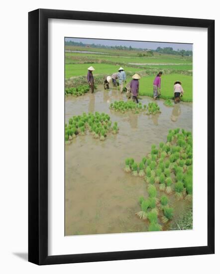 Rice Paddies, Vientiane, Laos, Asia-Bruno Morandi-Framed Photographic Print