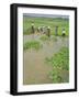 Rice Paddies, Vientiane, Laos, Asia-Bruno Morandi-Framed Photographic Print