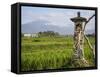 Rice paddies with shrine and Mount Batukaru, Bali, Indonesia, Southeast Asia, Asia-Melissa Kuhnell-Framed Stretched Canvas