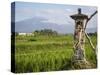 Rice paddies with shrine and Mount Batukaru, Bali, Indonesia, Southeast Asia, Asia-Melissa Kuhnell-Stretched Canvas