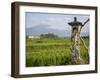 Rice paddies with shrine and Mount Batukaru, Bali, Indonesia, Southeast Asia, Asia-Melissa Kuhnell-Framed Photographic Print