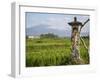 Rice paddies with shrine and Mount Batukaru, Bali, Indonesia, Southeast Asia, Asia-Melissa Kuhnell-Framed Photographic Print