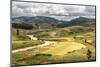 Rice Paddy Field Scenery Near Antananarivo, Antananarivo Province, Eastern Madagascar, Africa-Matthew Williams-Ellis-Mounted Photographic Print