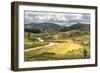 Rice Paddy Field Scenery Near Antananarivo, Antananarivo Province, Eastern Madagascar, Africa-Matthew Williams-Ellis-Framed Photographic Print