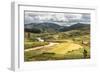 Rice Paddy Field Scenery Near Antananarivo, Antananarivo Province, Eastern Madagascar, Africa-Matthew Williams-Ellis-Framed Photographic Print