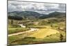 Rice Paddy Field Scenery Near Antananarivo, Antananarivo Province, Eastern Madagascar, Africa-Matthew Williams-Ellis-Mounted Photographic Print