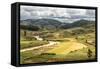 Rice Paddy Field Scenery Near Antananarivo, Antananarivo Province, Eastern Madagascar, Africa-Matthew Williams-Ellis-Framed Stretched Canvas