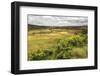 Rice Paddy Field Scenery Near Antananarivo, Antananarivo Province, Eastern Madagascar, Africa-Matthew Williams-Ellis-Framed Photographic Print