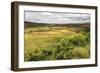 Rice Paddy Field Scenery Near Antananarivo, Antananarivo Province, Eastern Madagascar, Africa-Matthew Williams-Ellis-Framed Photographic Print