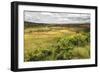 Rice Paddy Field Scenery Near Antananarivo, Antananarivo Province, Eastern Madagascar, Africa-Matthew Williams-Ellis-Framed Photographic Print