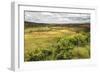 Rice Paddy Field Scenery Near Antananarivo, Antananarivo Province, Eastern Madagascar, Africa-Matthew Williams-Ellis-Framed Photographic Print