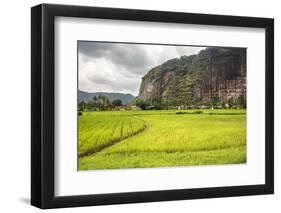 Rice Paddy Fields and Cliffs in the Harau Valley, Bukittinggi, West Sumatra, Indonesia-Matthew Williams-Ellis-Framed Photographic Print