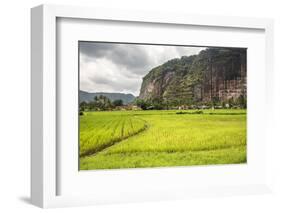 Rice Paddy Fields and Cliffs in the Harau Valley, Bukittinggi, West Sumatra, Indonesia-Matthew Williams-Ellis-Framed Photographic Print
