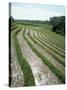 Rice Paddy Fields, Bali, Indonesia, Southeast Asia-Robert Harding-Stretched Canvas