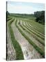 Rice Paddy Fields, Bali, Indonesia, Southeast Asia-Robert Harding-Stretched Canvas