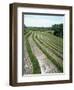 Rice Paddy Fields, Bali, Indonesia, Southeast Asia-Robert Harding-Framed Photographic Print