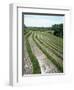 Rice Paddy Fields, Bali, Indonesia, Southeast Asia-Robert Harding-Framed Photographic Print