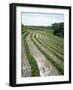 Rice Paddy Fields, Bali, Indonesia, Southeast Asia-Robert Harding-Framed Photographic Print