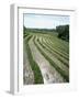 Rice Paddy Fields, Bali, Indonesia, Southeast Asia-Robert Harding-Framed Photographic Print