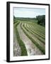 Rice Paddy Fields, Bali, Indonesia, Southeast Asia-Robert Harding-Framed Photographic Print