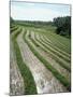 Rice Paddy Fields, Bali, Indonesia, Southeast Asia-Robert Harding-Mounted Photographic Print