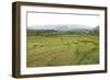 Rice Paddy Fields in Shallow Terraces-Annie Owen-Framed Photographic Print