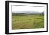 Rice Paddy Fields in Shallow Terraces-Annie Owen-Framed Photographic Print