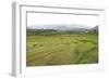 Rice Paddy Fields in Shallow Terraces-Annie Owen-Framed Photographic Print