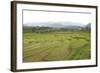 Rice Paddy Fields in Shallow Terraces-Annie Owen-Framed Photographic Print
