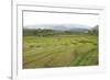 Rice Paddy Fields in Shallow Terraces-Annie Owen-Framed Photographic Print