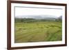 Rice Paddy Fields in Shallow Terraces-Annie Owen-Framed Photographic Print