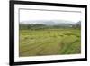 Rice Paddy Fields in Shallow Terraces-Annie Owen-Framed Photographic Print