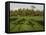 Rice Paddy Fields in the Highlands in Bali, Indonesia, Southeast Asia-Julio Etchart-Framed Stretched Canvas