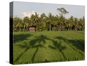 Rice Paddy Fields in the Highlands in Bali, Indonesia, Southeast Asia-Julio Etchart-Stretched Canvas