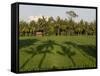 Rice Paddy Fields in the Highlands in Bali, Indonesia, Southeast Asia-Julio Etchart-Framed Stretched Canvas