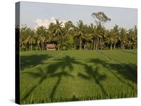 Rice Paddy Fields in the Highlands in Bali, Indonesia, Southeast Asia-Julio Etchart-Stretched Canvas