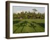 Rice Paddy Fields in the Highlands in Bali, Indonesia, Southeast Asia-Julio Etchart-Framed Photographic Print
