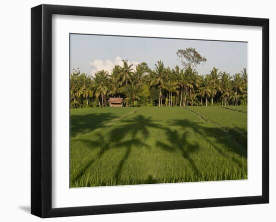 Rice Paddy Fields in the Highlands in Bali, Indonesia, Southeast Asia-Julio Etchart-Framed Photographic Print