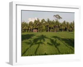 Rice Paddy Fields in the Highlands in Bali, Indonesia, Southeast Asia-Julio Etchart-Framed Photographic Print