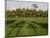 Rice Paddy Fields in the Highlands in Bali, Indonesia, Southeast Asia-Julio Etchart-Mounted Photographic Print