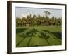 Rice Paddy Fields in the Highlands in Bali, Indonesia, Southeast Asia-Julio Etchart-Framed Photographic Print