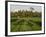 Rice Paddy Fields in the Highlands in Bali, Indonesia, Southeast Asia-Julio Etchart-Framed Photographic Print