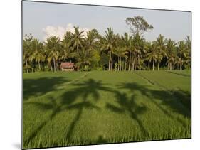 Rice Paddy Fields in the Highlands in Bali, Indonesia, Southeast Asia-Julio Etchart-Mounted Photographic Print